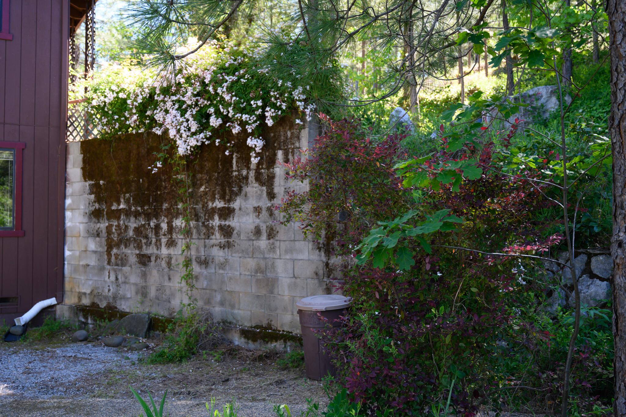 12866 Flint Creek Road Redding, CA 96003 - Photo 45 of 57 Honesuckle Retaining Wall