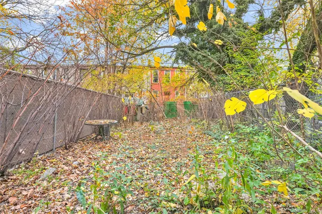 a view of a back yard with a tree