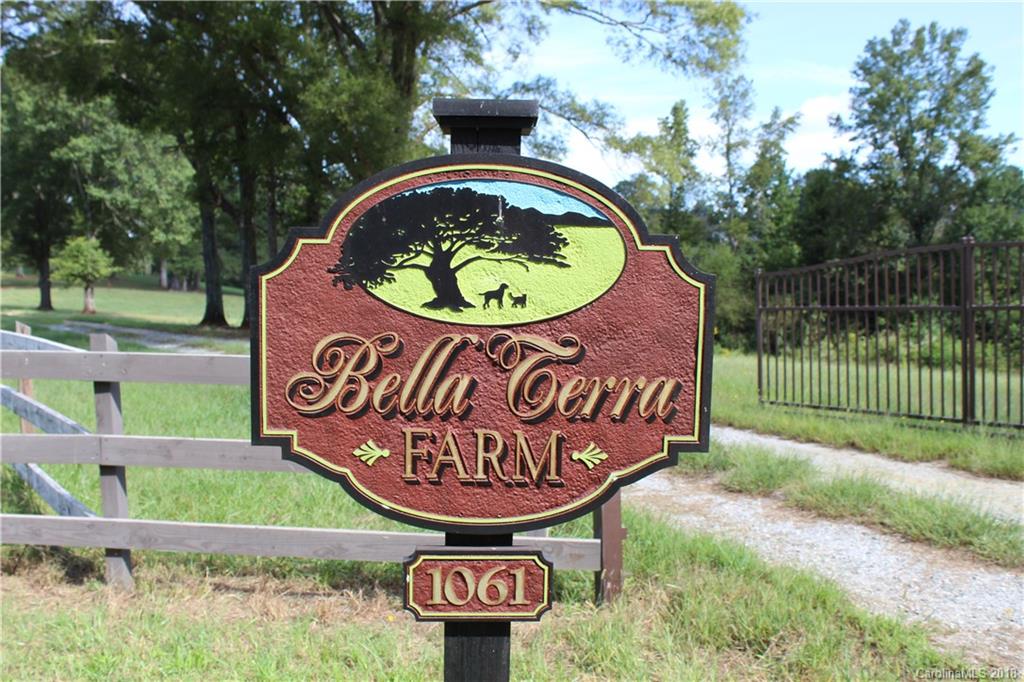 1061 Johnson Road Columbus, NC 28722 - Photo 2 of 9