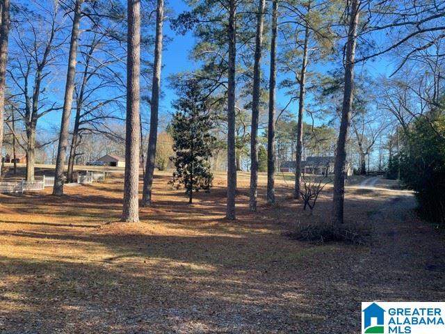 938 Morris Majestic Road Morris, AL 35116 - Photo 16 of 17