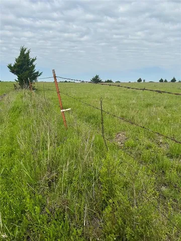 a view of a green field with an trees