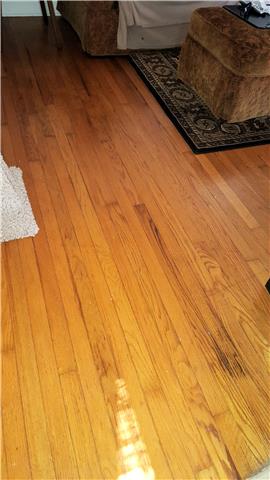 817 North Spring Street Murfreesboro, TN 37130 - Photo 12 of 20 Gallery Image 12