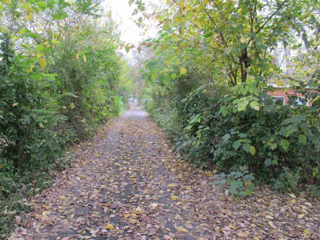 817 North Spring Street Murfreesboro, TN 37130 - Photo 8 of 20 Gallery Image 8