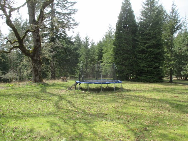 41380 Southwest Fort Hill Road Willamina, OR 97396 - Photo 8 of 31 a view of a park with large trees