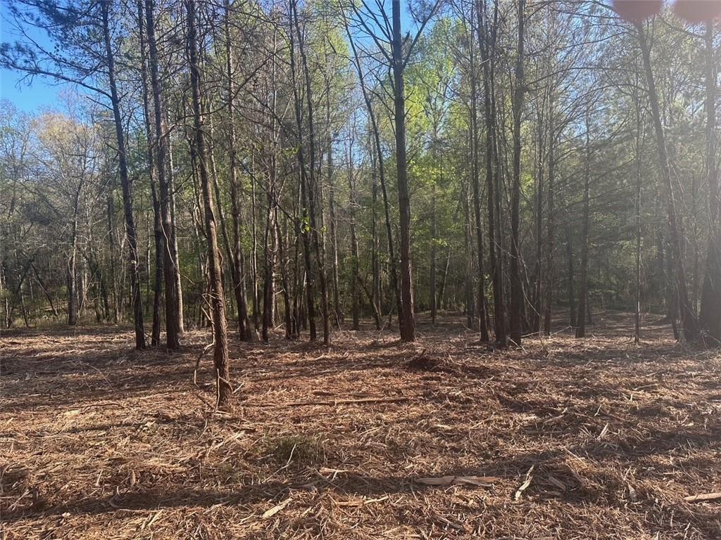 0 Lee Mashburn Road Dahlonega, GA 30533 - Photo 5 of 19