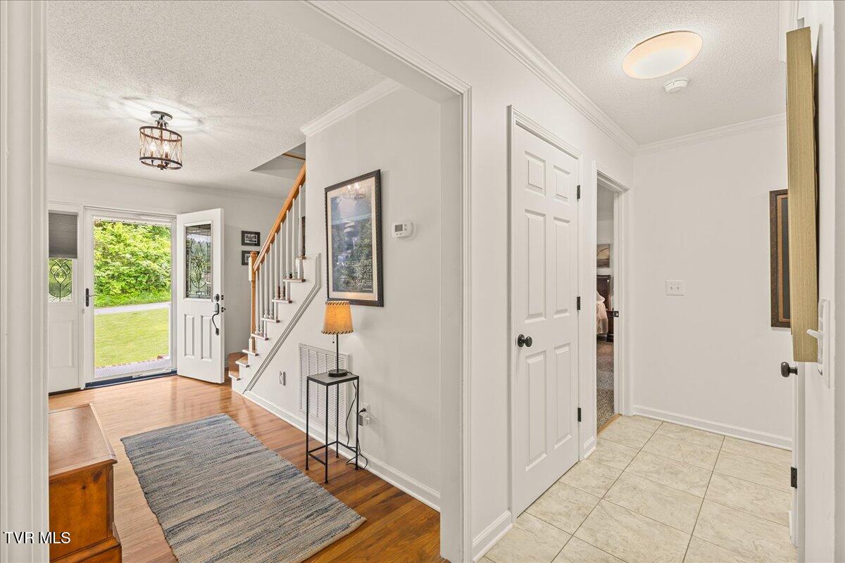 138 Clay Little Road Elizabethton, TN 37643 - Photo 25 of 73 22-128A8648