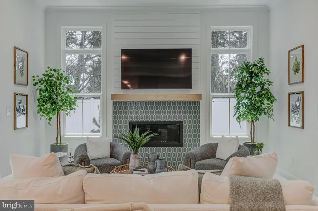 a living room with furniture a potted plant and a fireplace