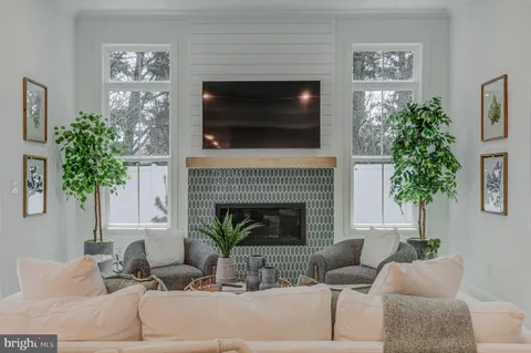 a living room with furniture a potted plant and a fireplace