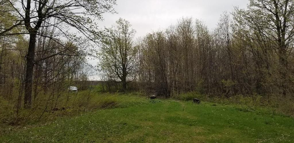 . Tacey Road Ellenburg Center, NY 12934 - Photo 30 of 44
