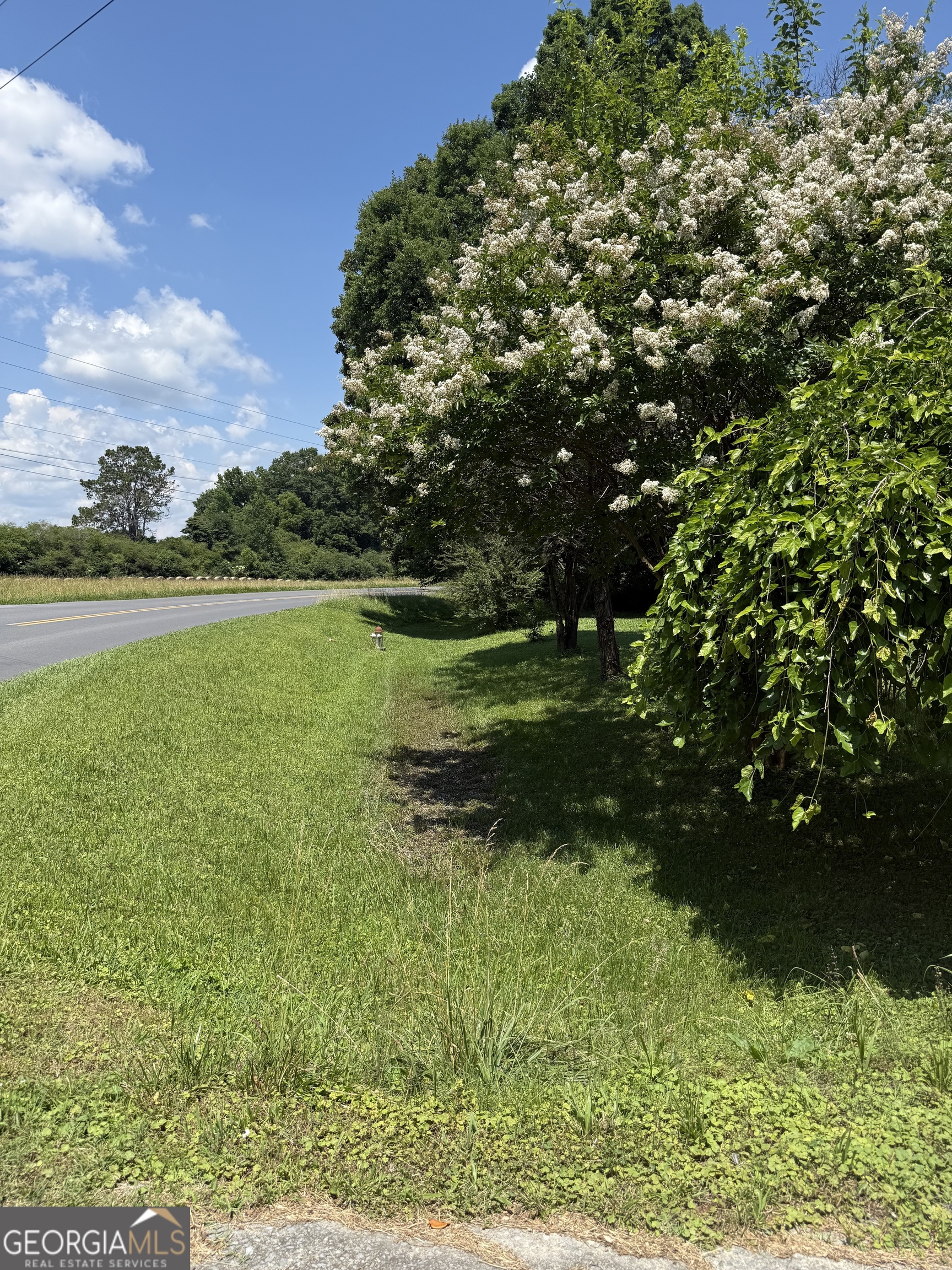 2169 Silver Hill Road Summerville, GA 30747 - Photo 3 of 7