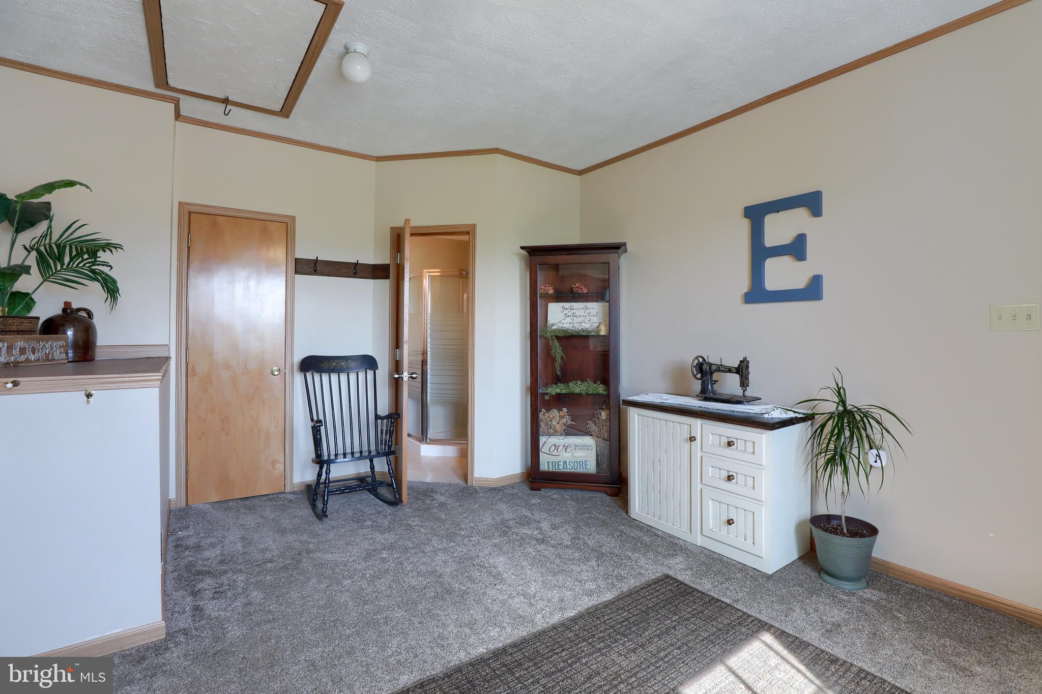 1913 Mine Road Paradise, PA 17562 - Photo 18 of 53 a living room with furniture and a potted plant