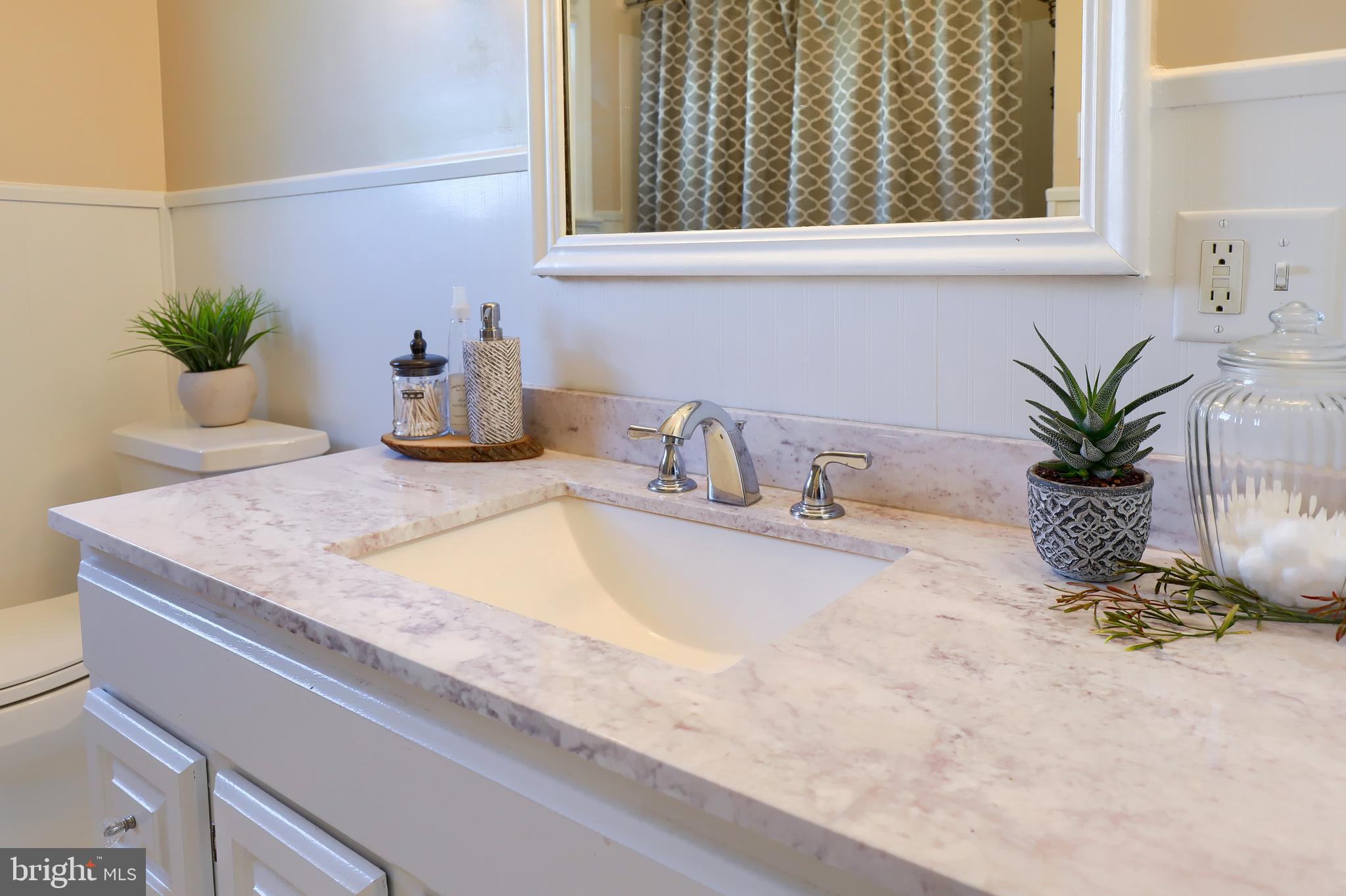1913 Mine Road Paradise, PA 17562 - Photo 24 of 53 a bathroom with a granite countertop sink and a potted plant