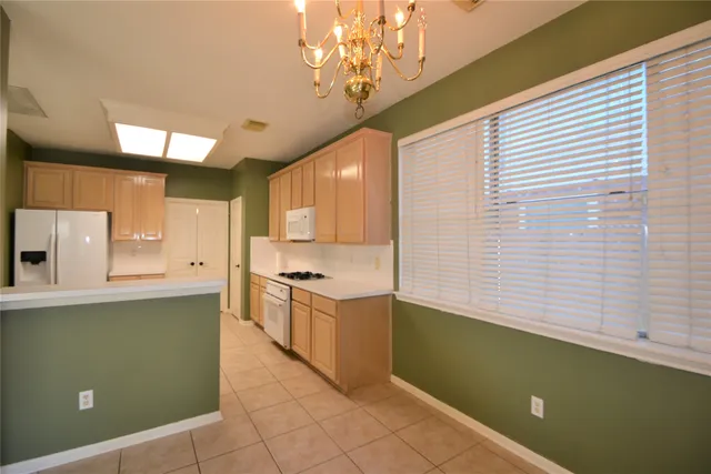 a view of backyard with potted plants