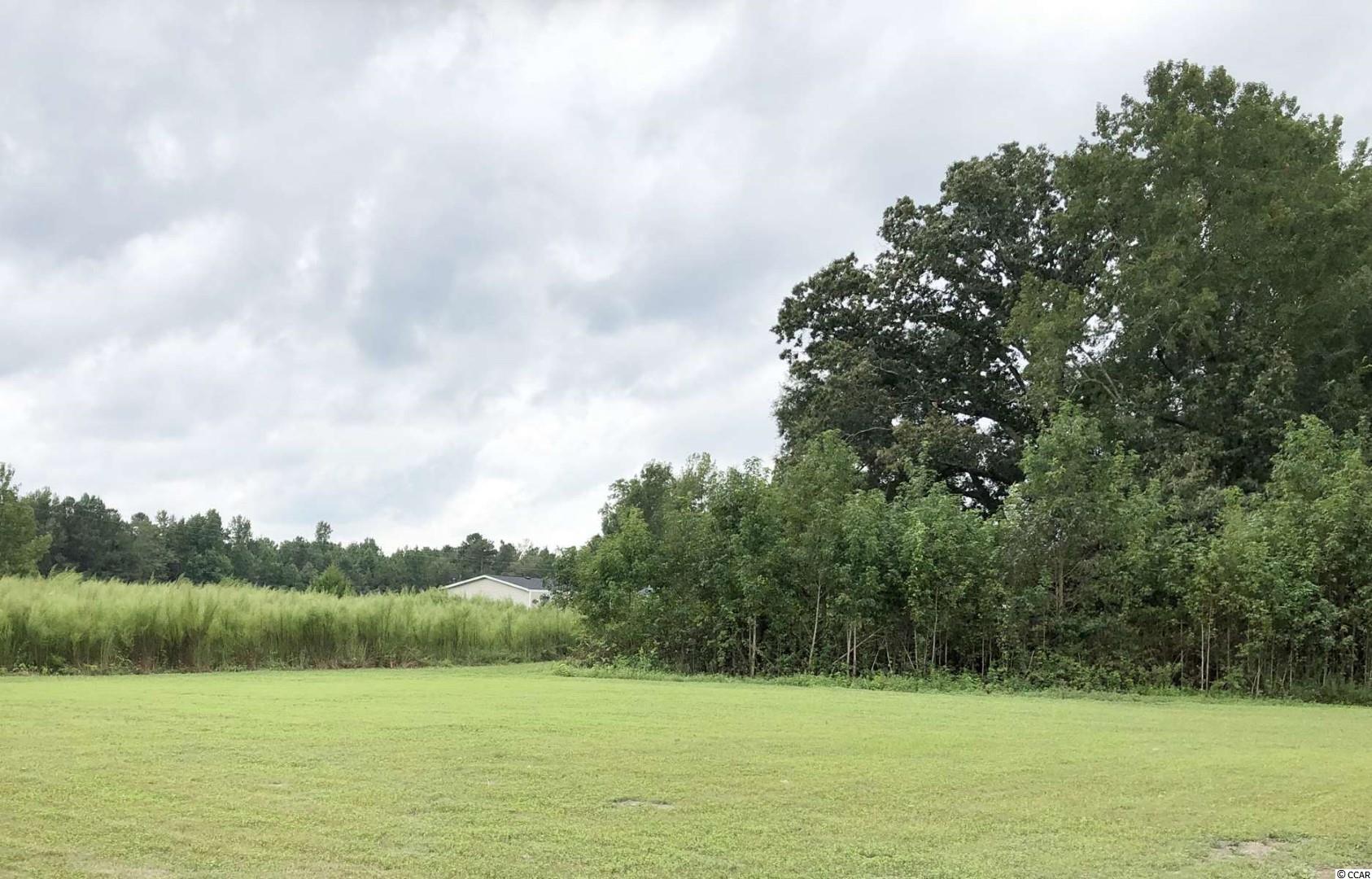 1227 South Old River Road Pamplico, SC 29583 - Photo 22 of 22