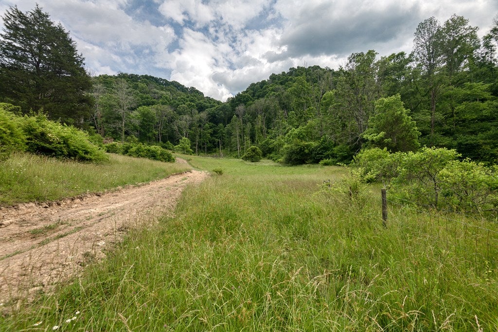 Tbd Cross Roads, Unit 1 Lebanon, VA 24266 - Photo 14 of 22 Gallery Image 14