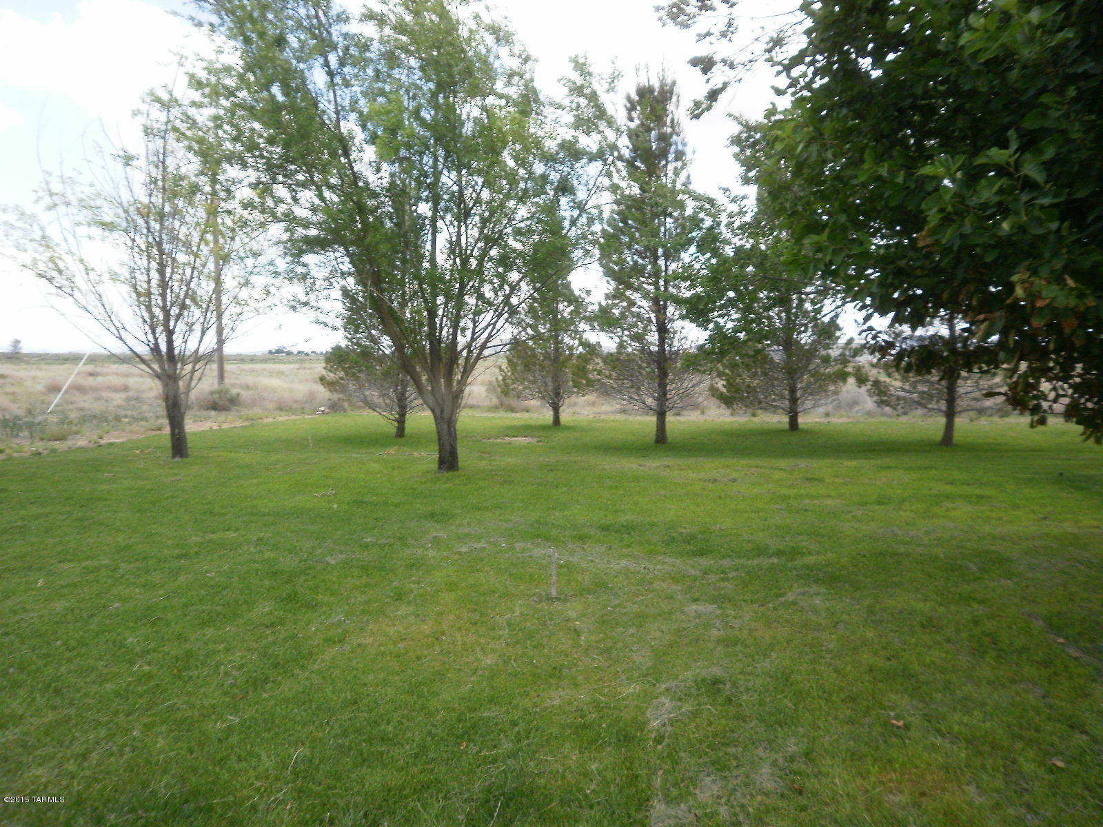 1588 North Steele Road Cochise, AZ 85606 - Photo 9 of 49 Gallery Image 9