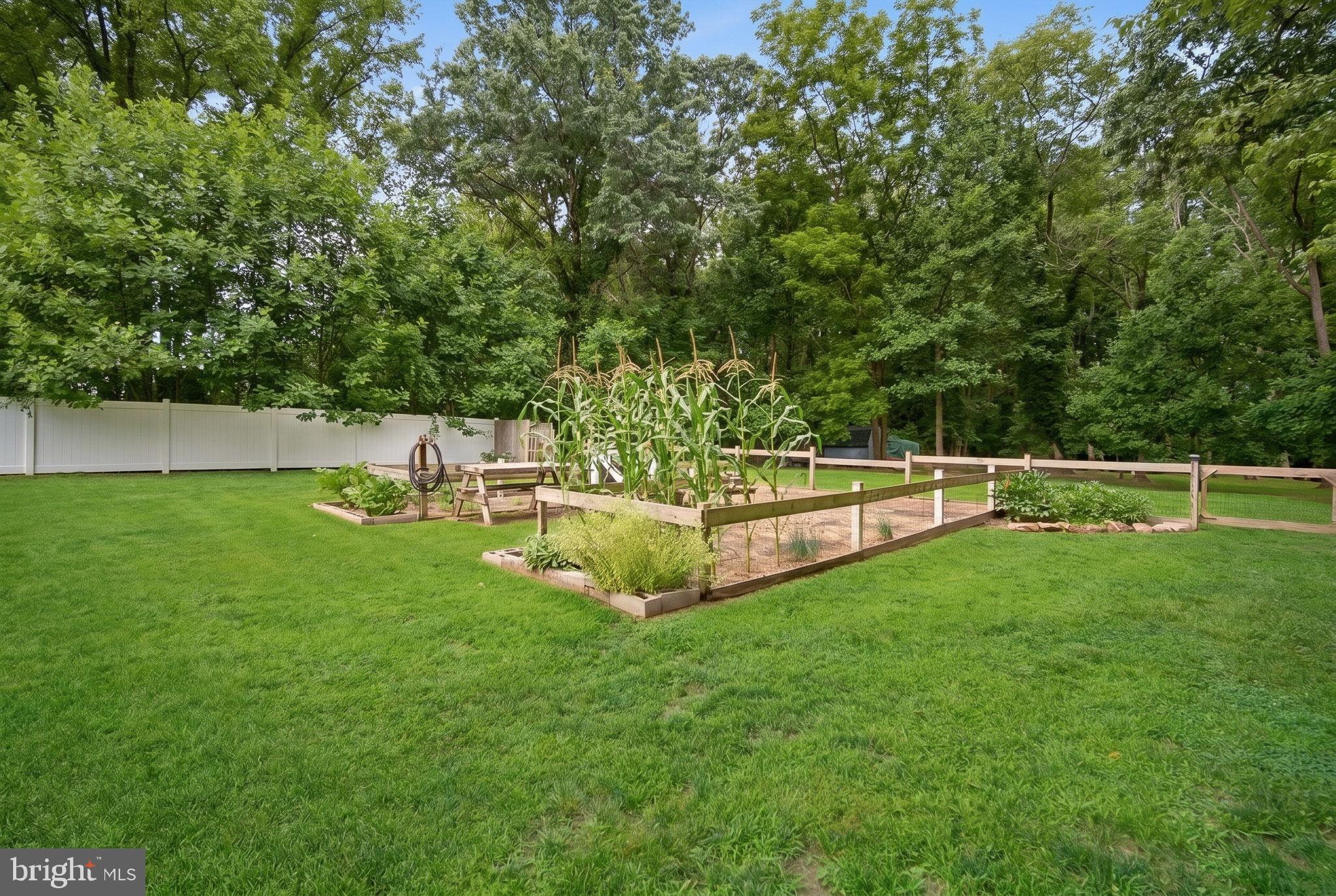 1269 Tanyard Road Sewell, NJ 08080 - Photo 9 of 38