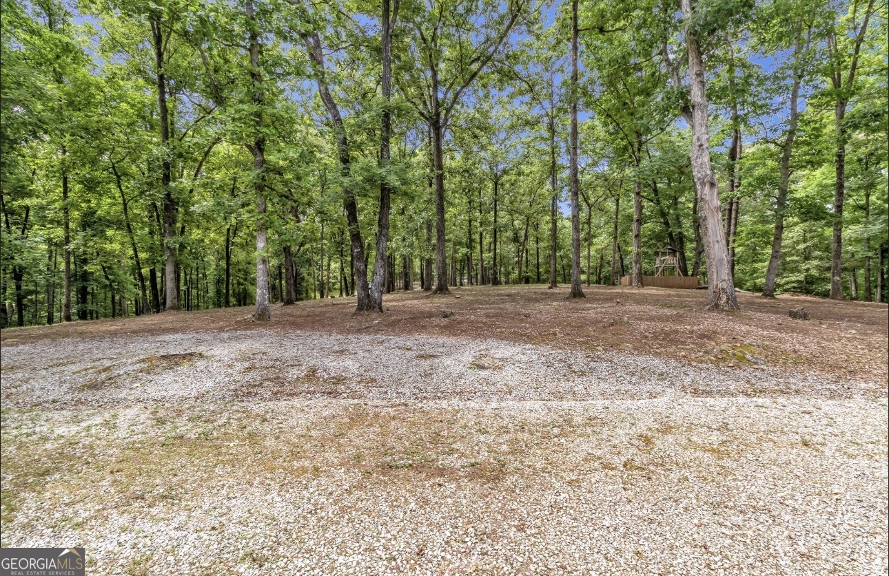 285 Wolf Den Road Royston, GA 30662 - Photo 51 of 67