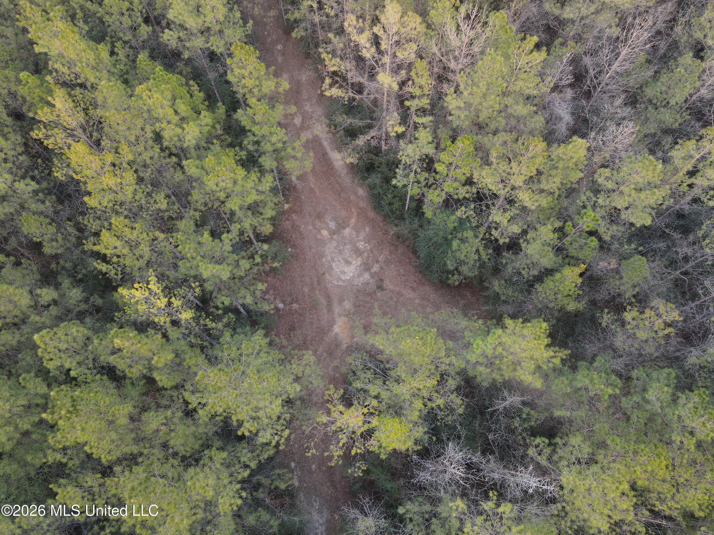 42 Mississippi State Line, MS 39362 - Photo 72 of 87 Photo Feb 13 2026, 5 16 45 PM