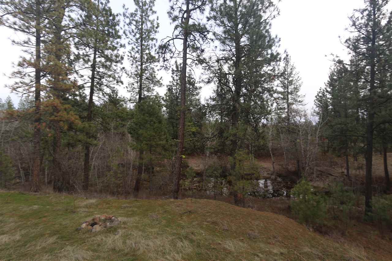 26104 West Carman Road Cheney, WA 99004 - Photo 18 of 20
