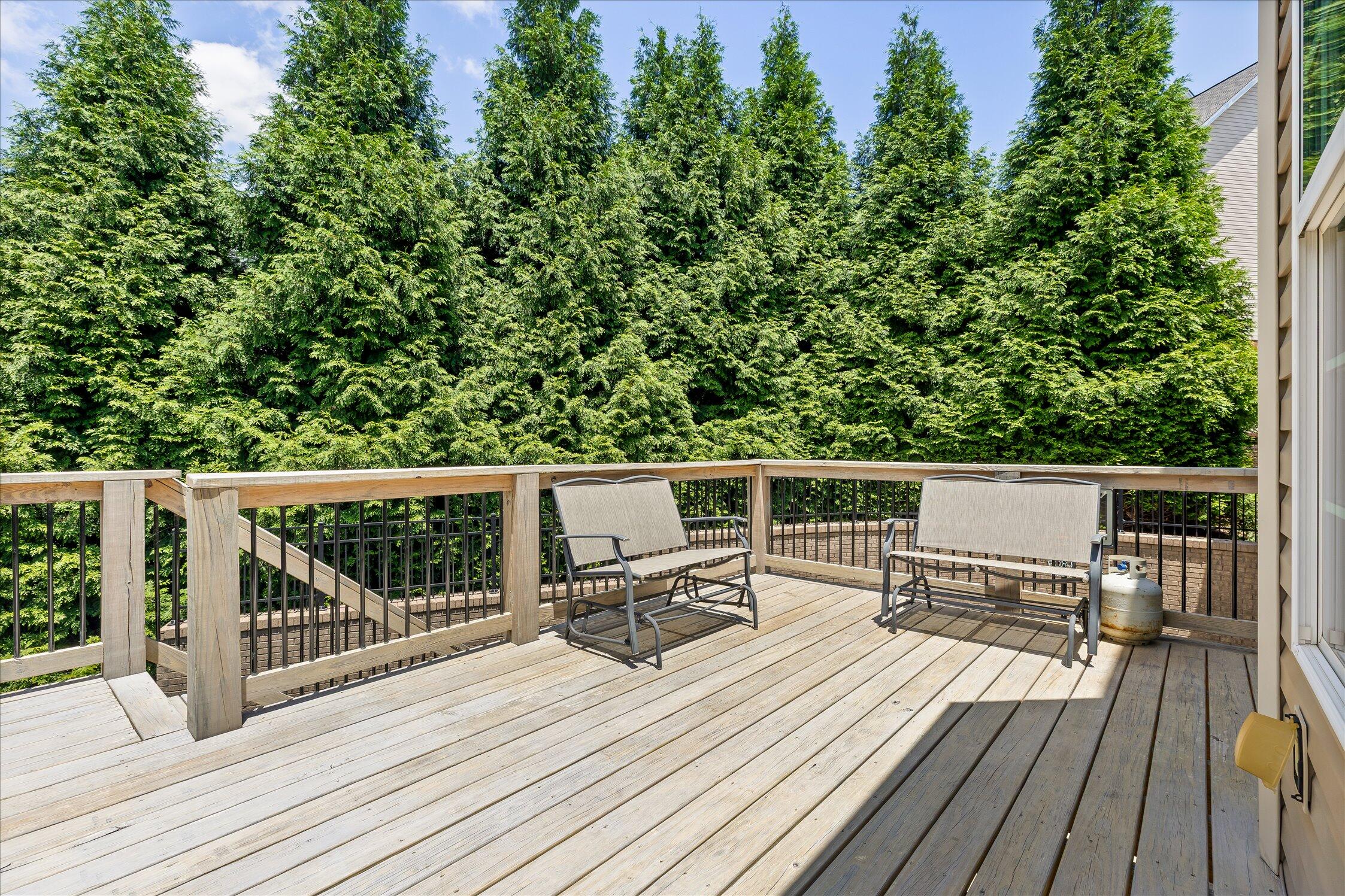 9875 Fieldcrest Drive Apison, TN 37302 - Photo 53 of 67 Backyard