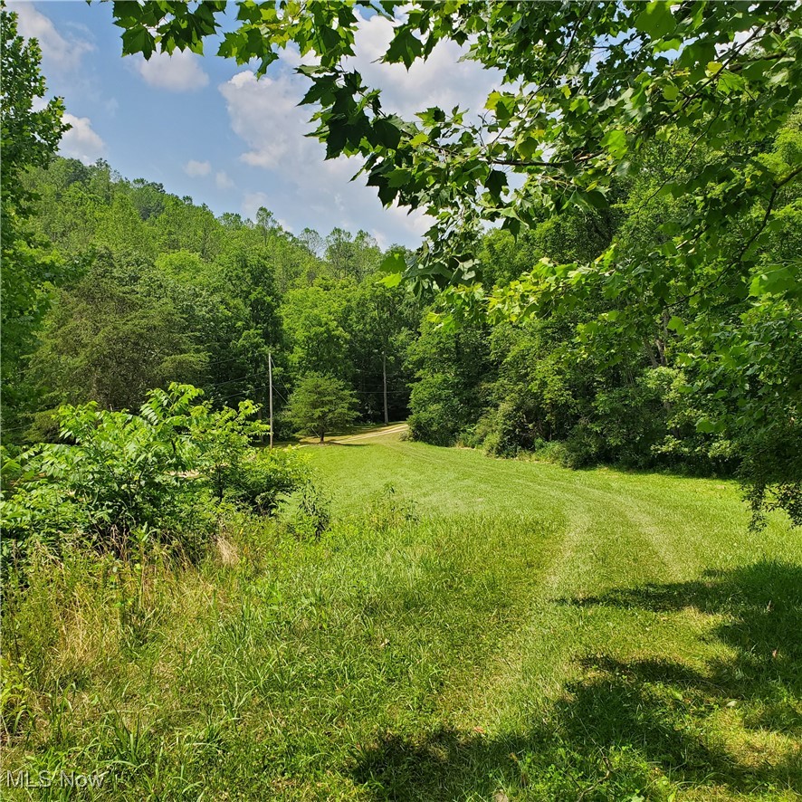 22 County Rt Street St. Marys, WV 26170 - Photo 15 of 27