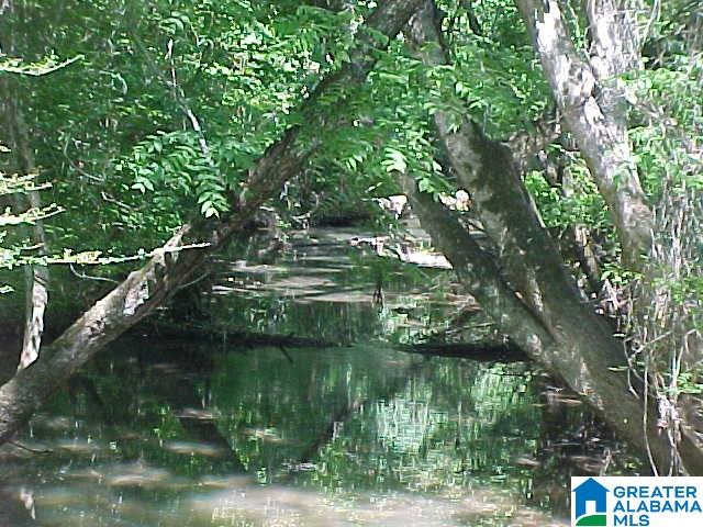 6530 County Road 17 Alabaster, AL 35114 - Photo 14 of 25