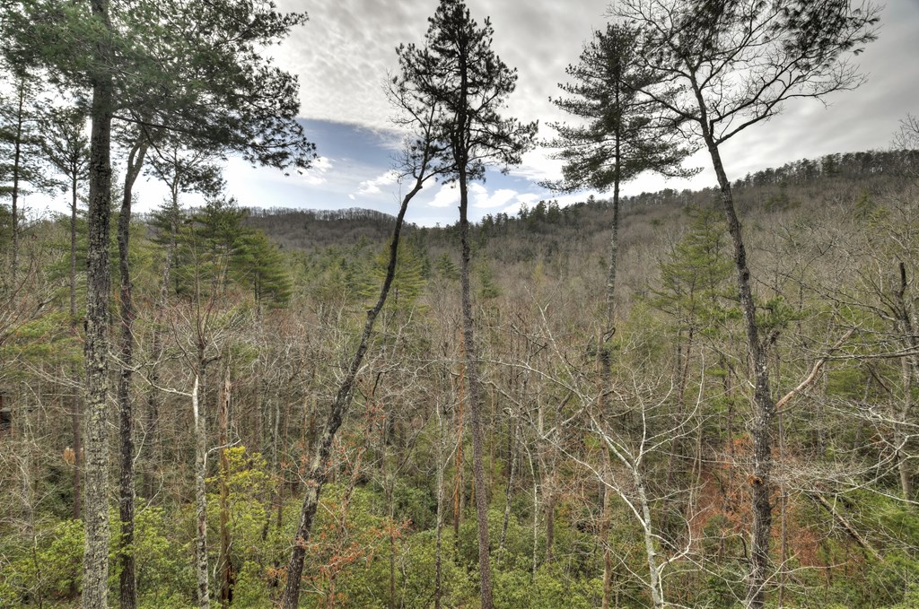 857 Harrison And Ada Road Blue Ridge, GA 30513 - Photo 46 of 55