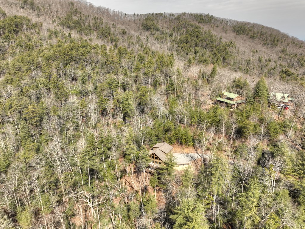 857 Harrison And Ada Road Blue Ridge, GA 30513 - Photo 50 of 55