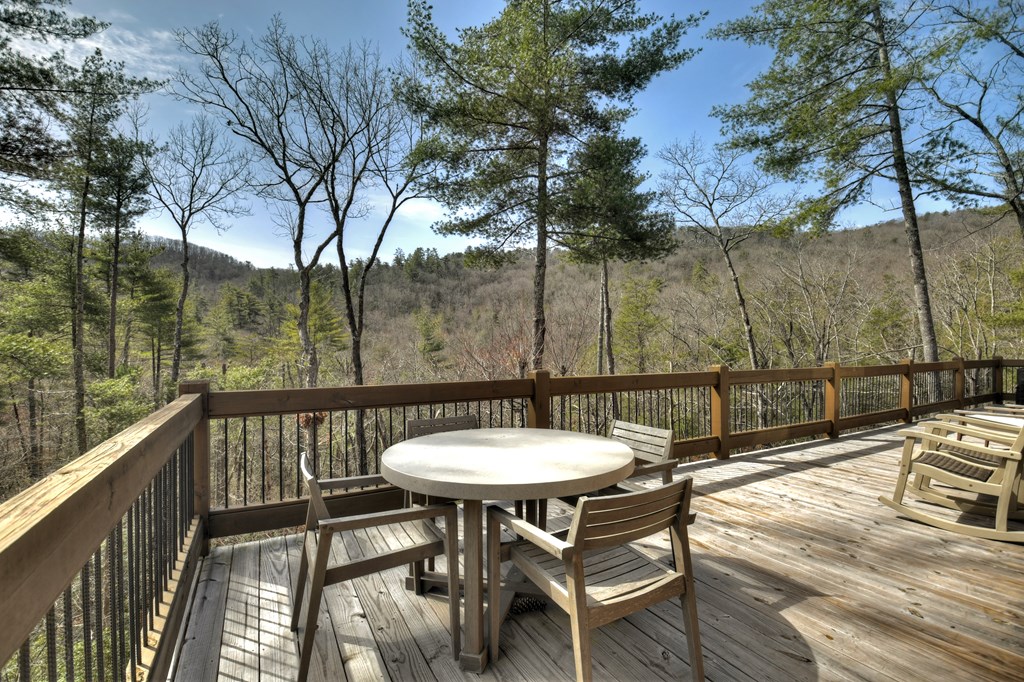 857 Harrison And Ada Road Blue Ridge, GA 30513 - Photo 5 of 55