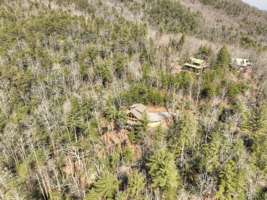 857 Harrison And Ada Road Blue Ridge, GA 30513 - Photo 51 of 55