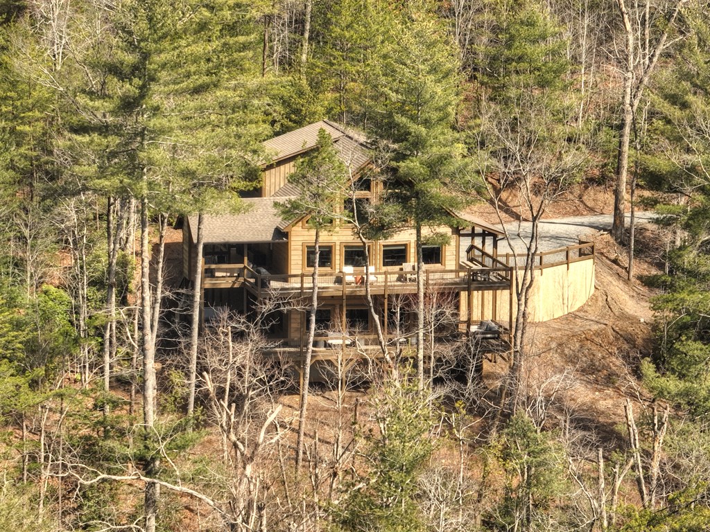 857 Harrison And Ada Road Blue Ridge, GA 30513 - Photo 53 of 55
