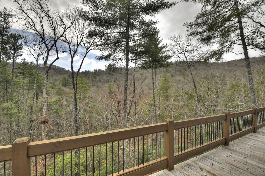 857 Harrison And Ada Road Blue Ridge, GA 30513 - Photo 7 of 55