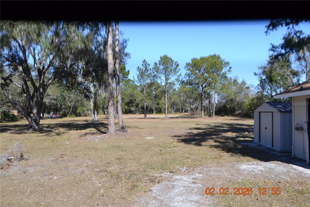 6204 West Knights Griffin Road Plant City, FL 33565 - Photo 18 of 19 a view of a yard with a tree