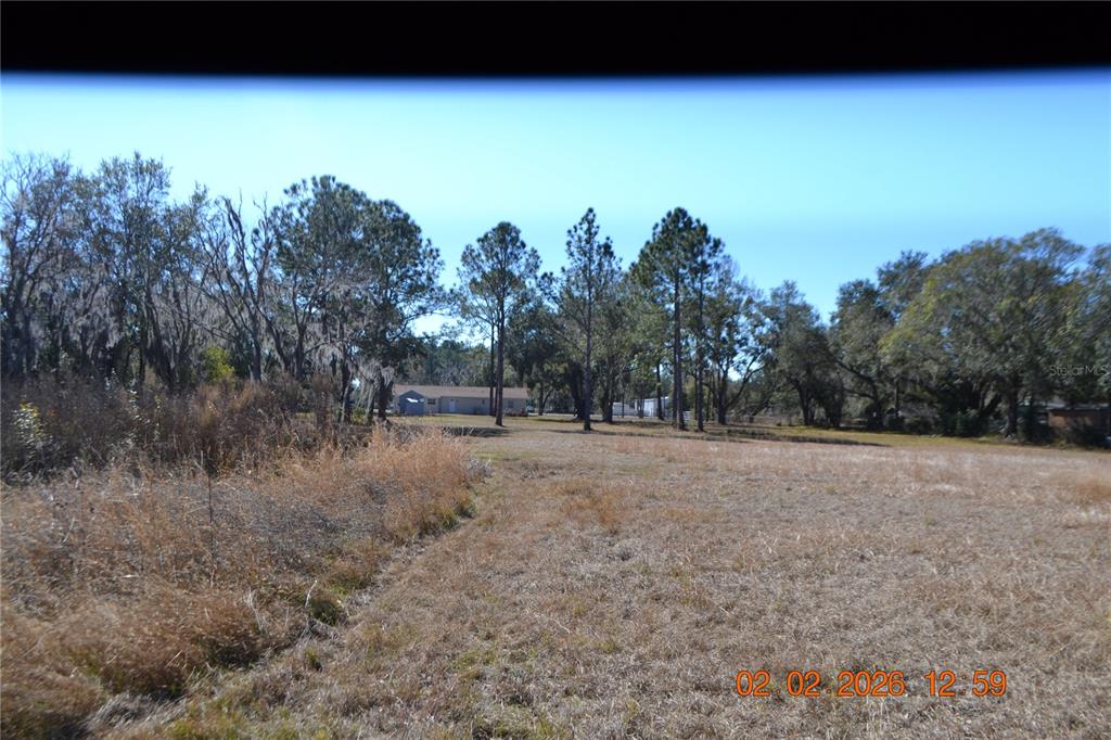6204 West Knights Griffin Road Plant City, FL 33565 - Photo 19 of 19 a view of a forest with trees in the background