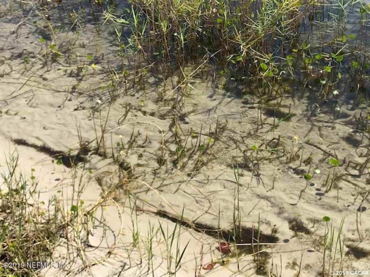 6461 Baker Road Keystone Heights, FL 32656 - Photo 26 of 28 Gallery Image 26
