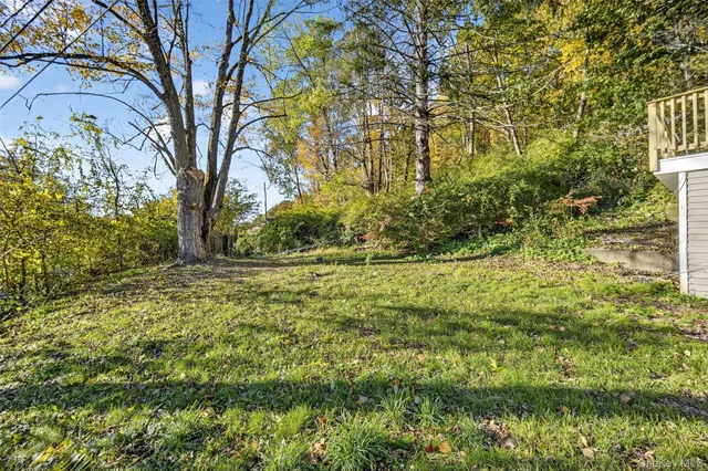 a view of backyard with green space
