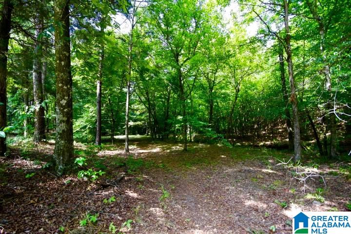 3440 Bulldog Bend Road Brierfield, AL 35035 - Photo 10 of 23