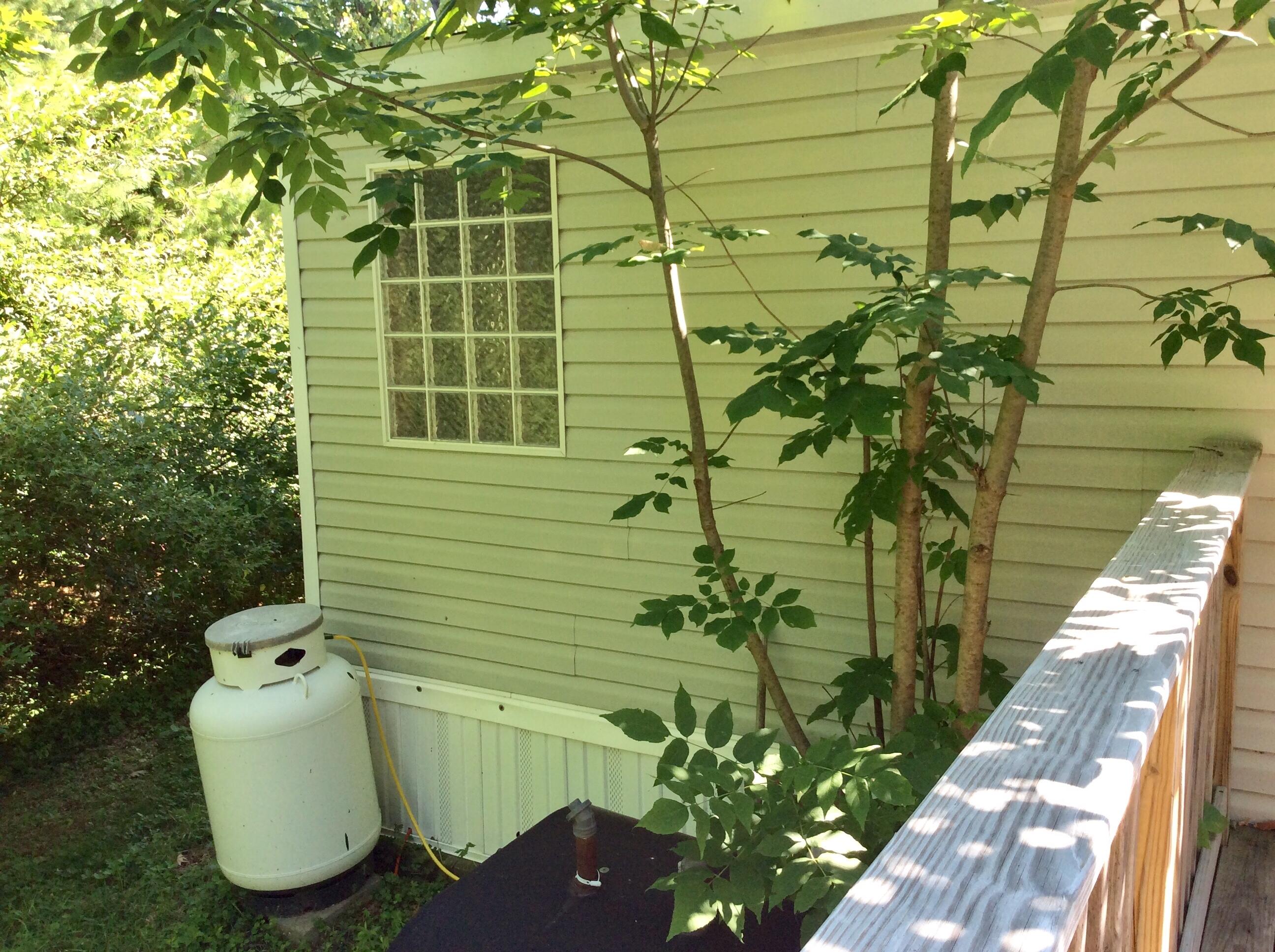 118 Cobb Road Camden, ME 04843 - Photo 9 of 39 5248F263-F5DB-4B11-BFE3-75803DFCBD75
