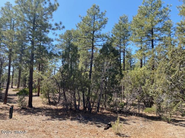 1180 South Falling Leaf Road Show Low, AZ 85901 - Photo 2 of 14
