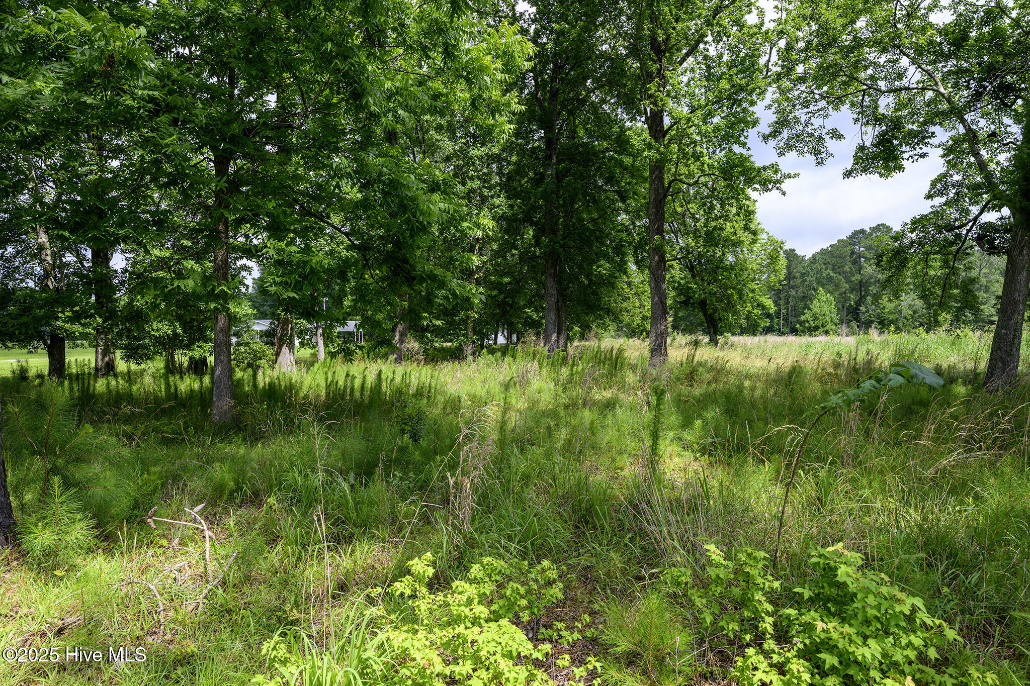 205 Hudnell Road Vanceboro, NC 28586 - Photo 67 of 71 205 Hudnell Road, Ernul, NC 28527