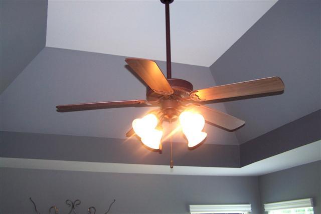 1415 Lone Oak Road Mount Juliet, TN 37122 - Photo 14 of 18 Master Trey Ceiling