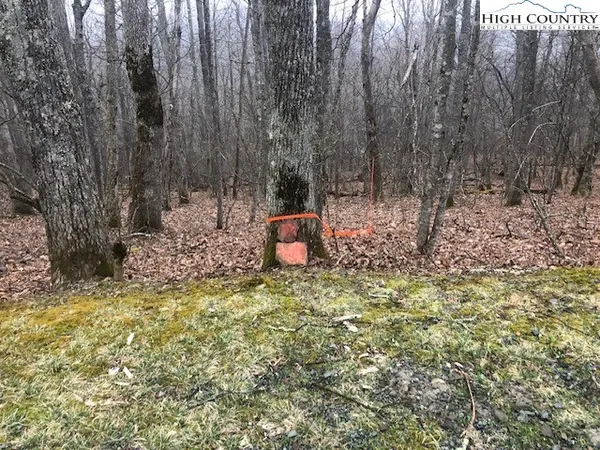 $65,000 | Saddle Road, Boone, NC 28607