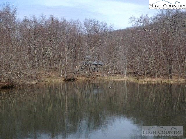 Saddle Road Boone, NC 28607 - Photo 15 of 16