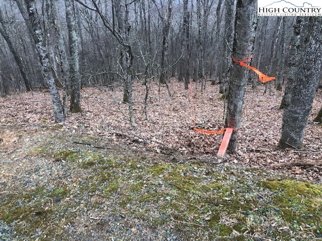 Saddle Road Boone, NC 28607 - Photo 2 of 16