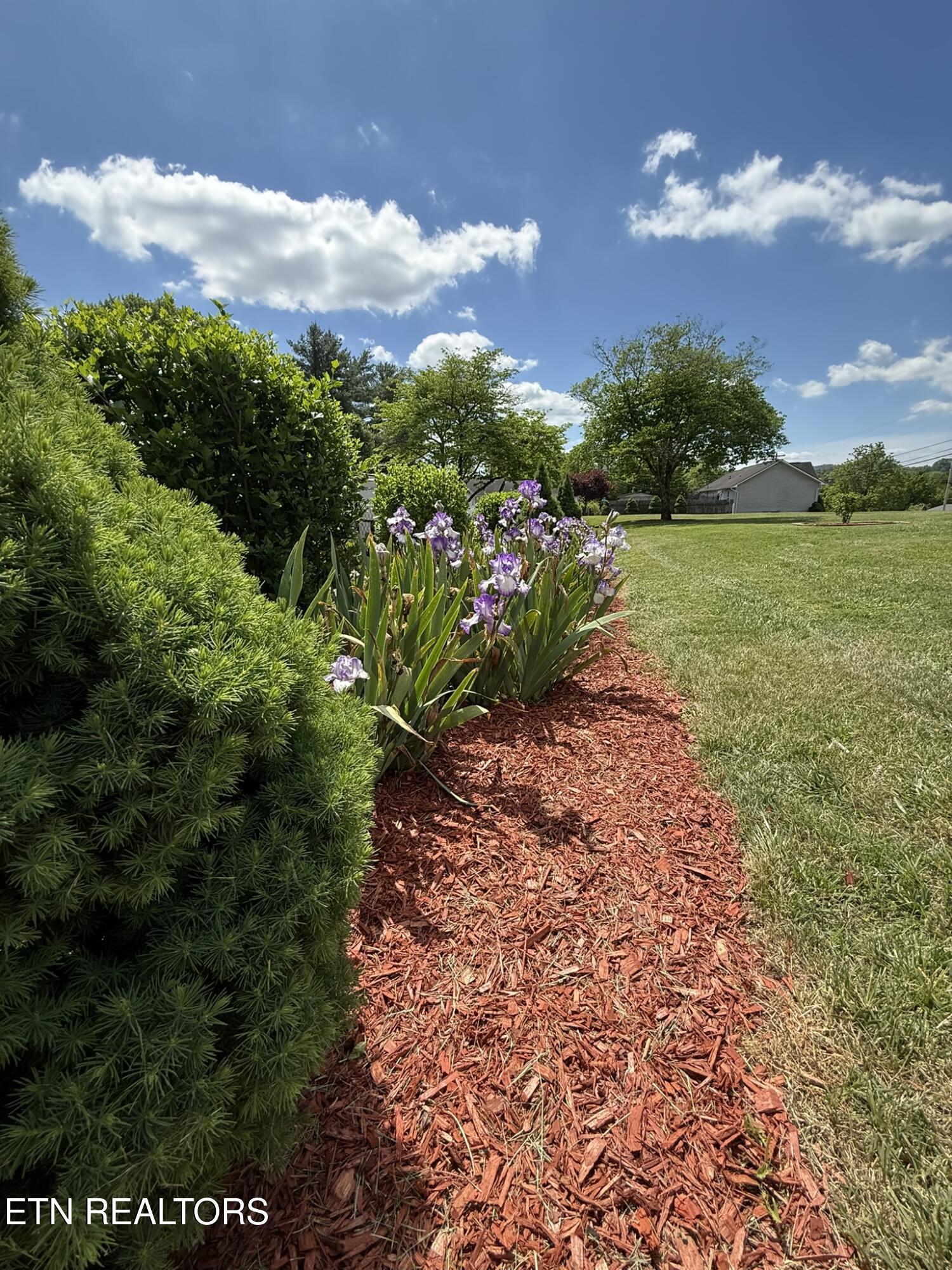 155 Valley View Road La Follette, TN 37766 - Photo 26 of 40 IMG_4339 - Copy