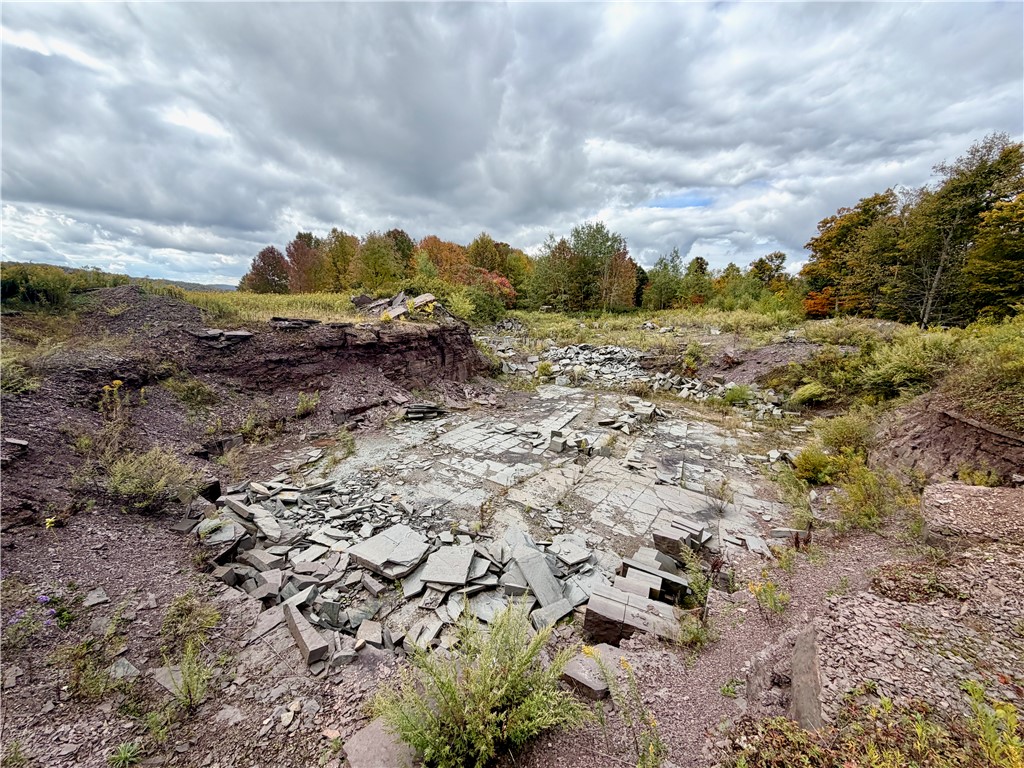 Gallop Hill Road Walton, NY 13856 - Photo 44 of 48 Quarry 2