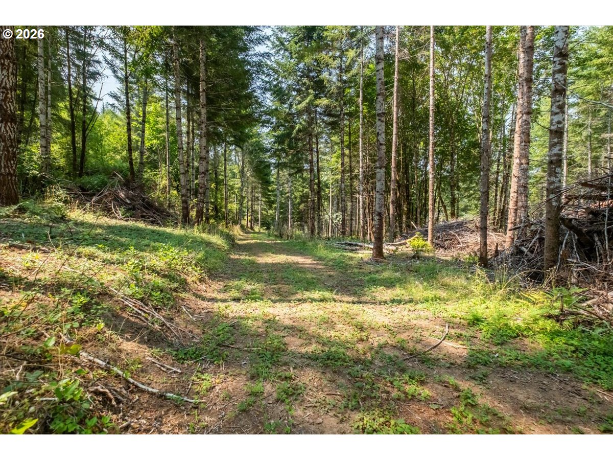 41662 Grover Road Blodgett, OR 97326 - Photo 5 of 20 Gallery Image 5
