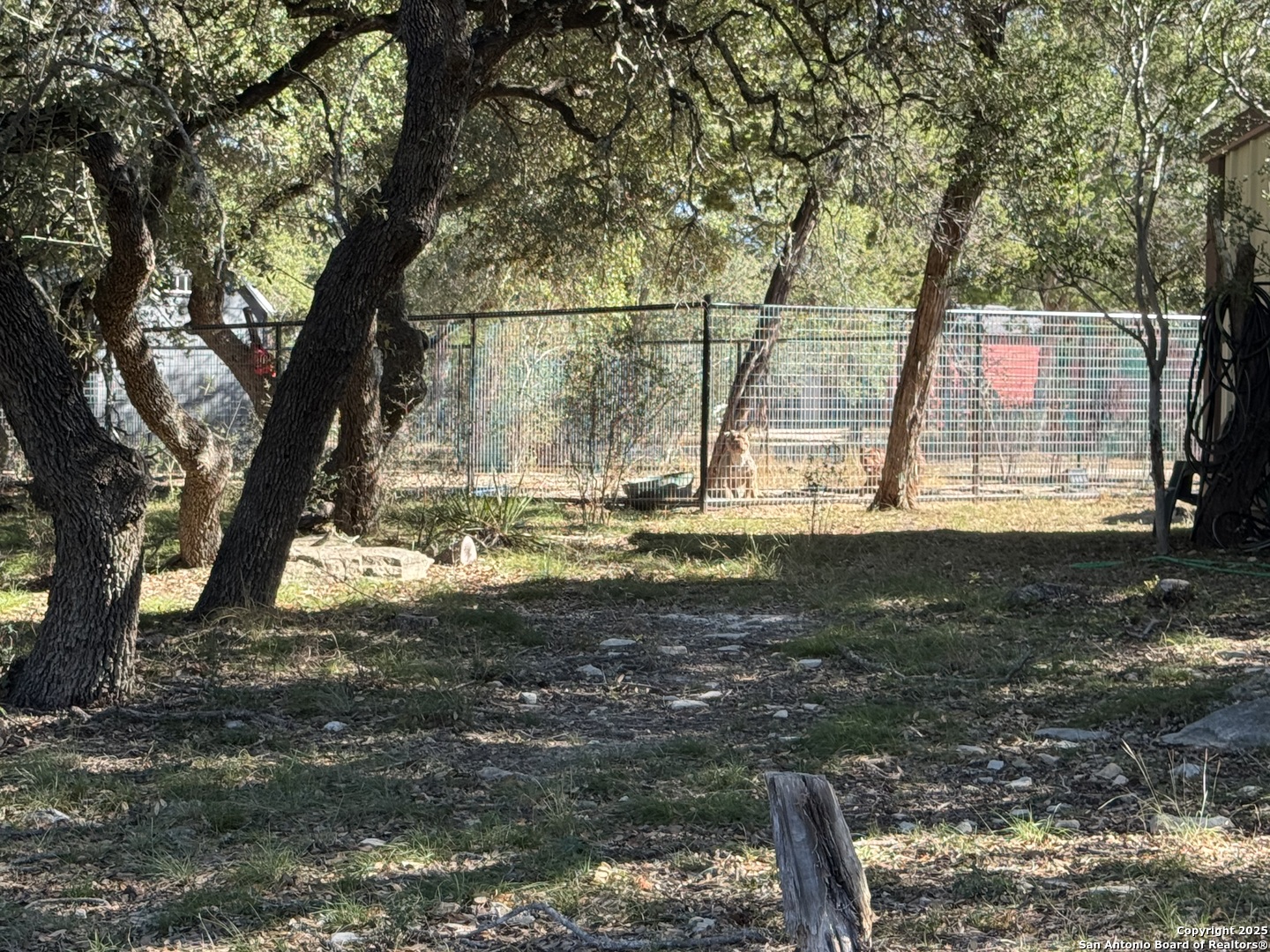 620 Lake Forest Road Pipe Creek, TX 78063 - Photo 40 of 54