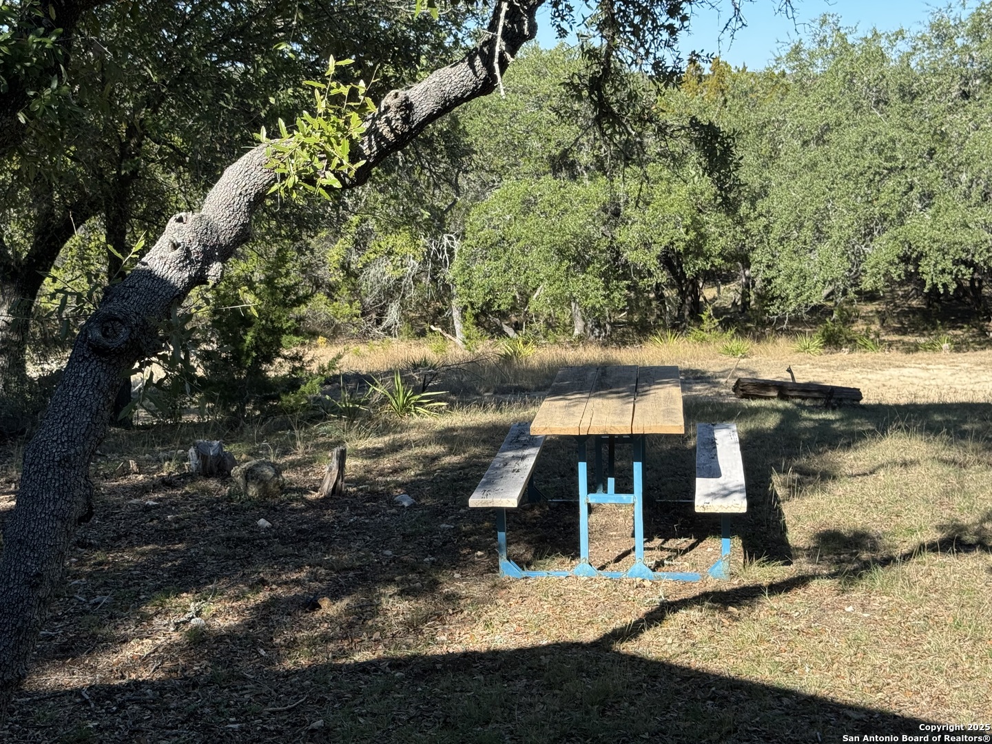 620 Lake Forest Road Pipe Creek, TX 78063 - Photo 48 of 54